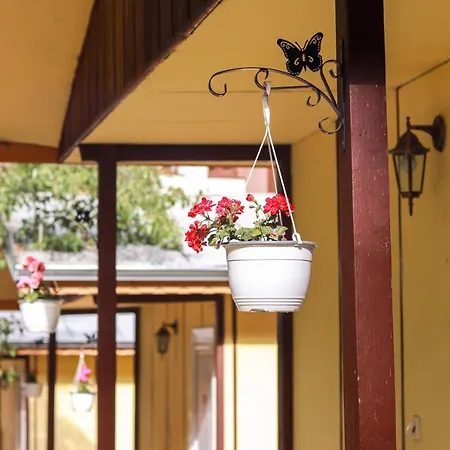 Bungalow In The Heart Of Nature For 2 Or 3 Persons Pensión 3*